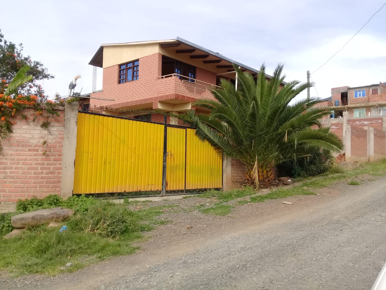 Frontis